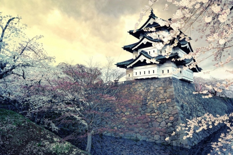 Das Hirosaki Castle Japan Wallpaper 480x320