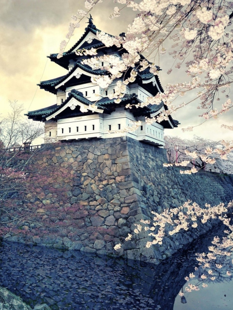 Das Hirosaki Castle Japan Wallpaper 480x640