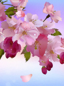 Fondo de pantalla Painting apple tree in bloom 132x176