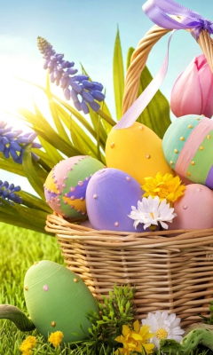 Basket With Easter Eggs wallpaper 240x400