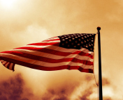 Sfondi Usa Flag 176x144