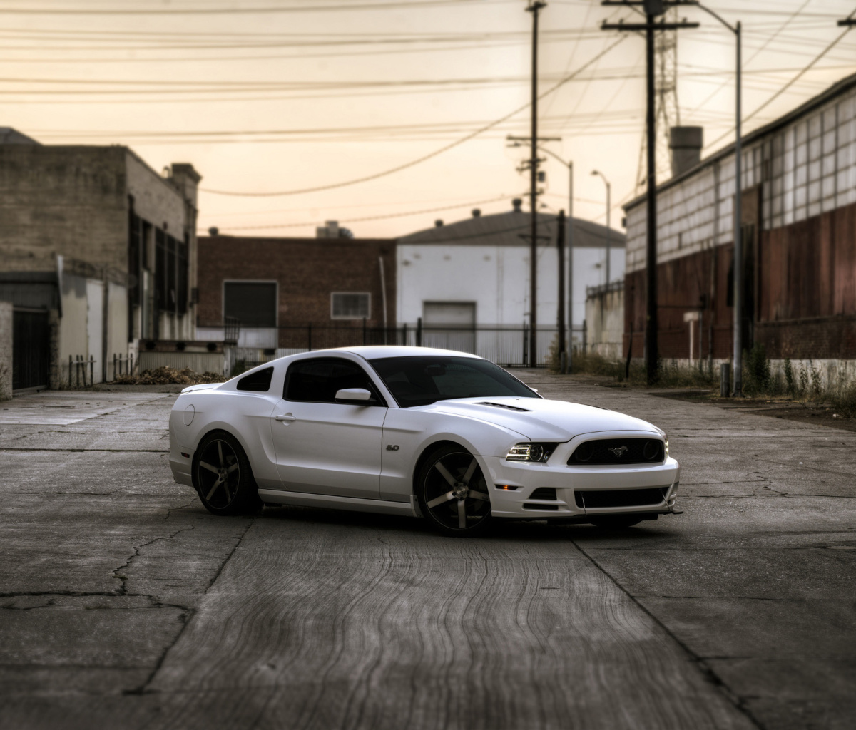 Обои Ford Mustang GT 643 1200x1024