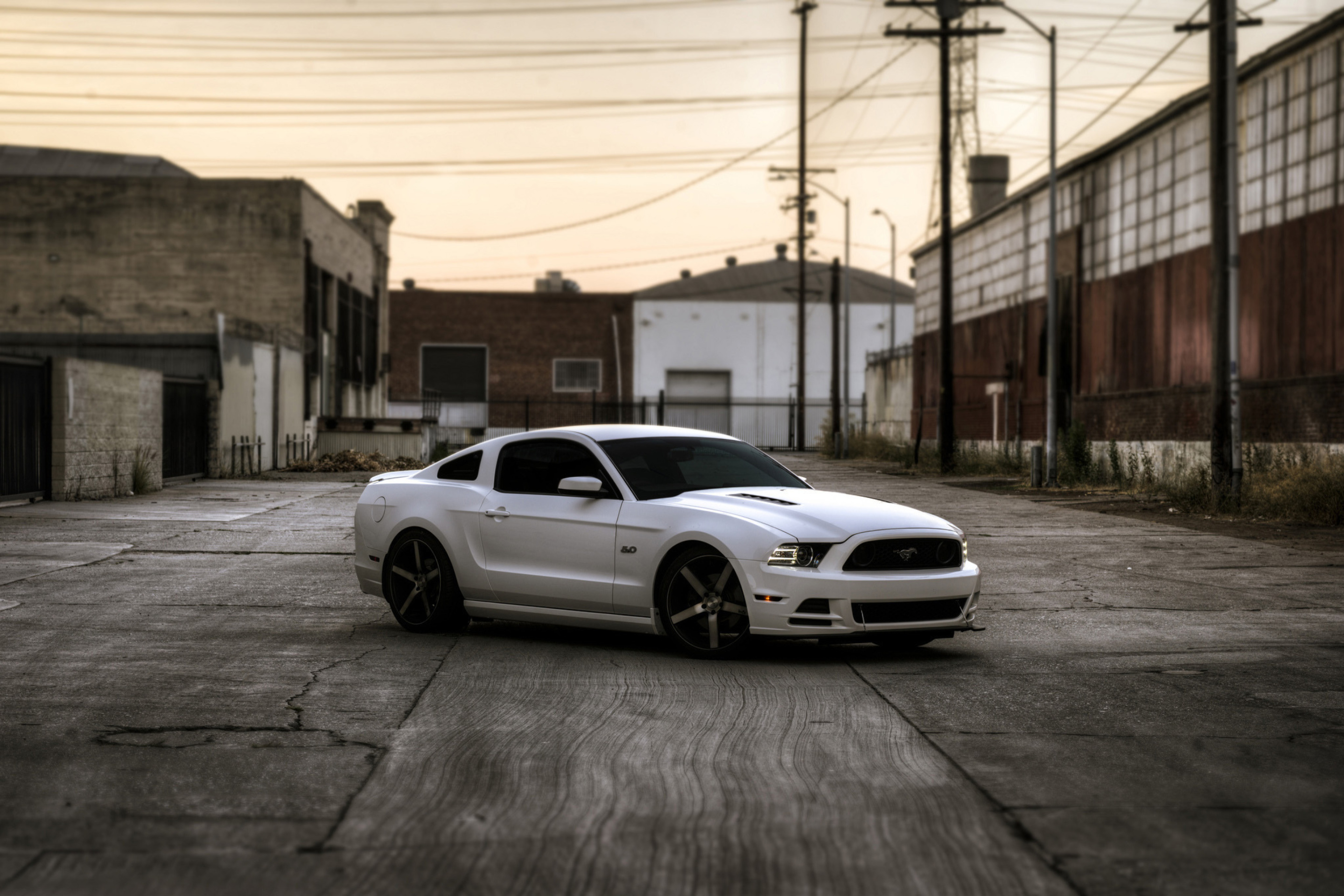 One of the girls streets white mustang