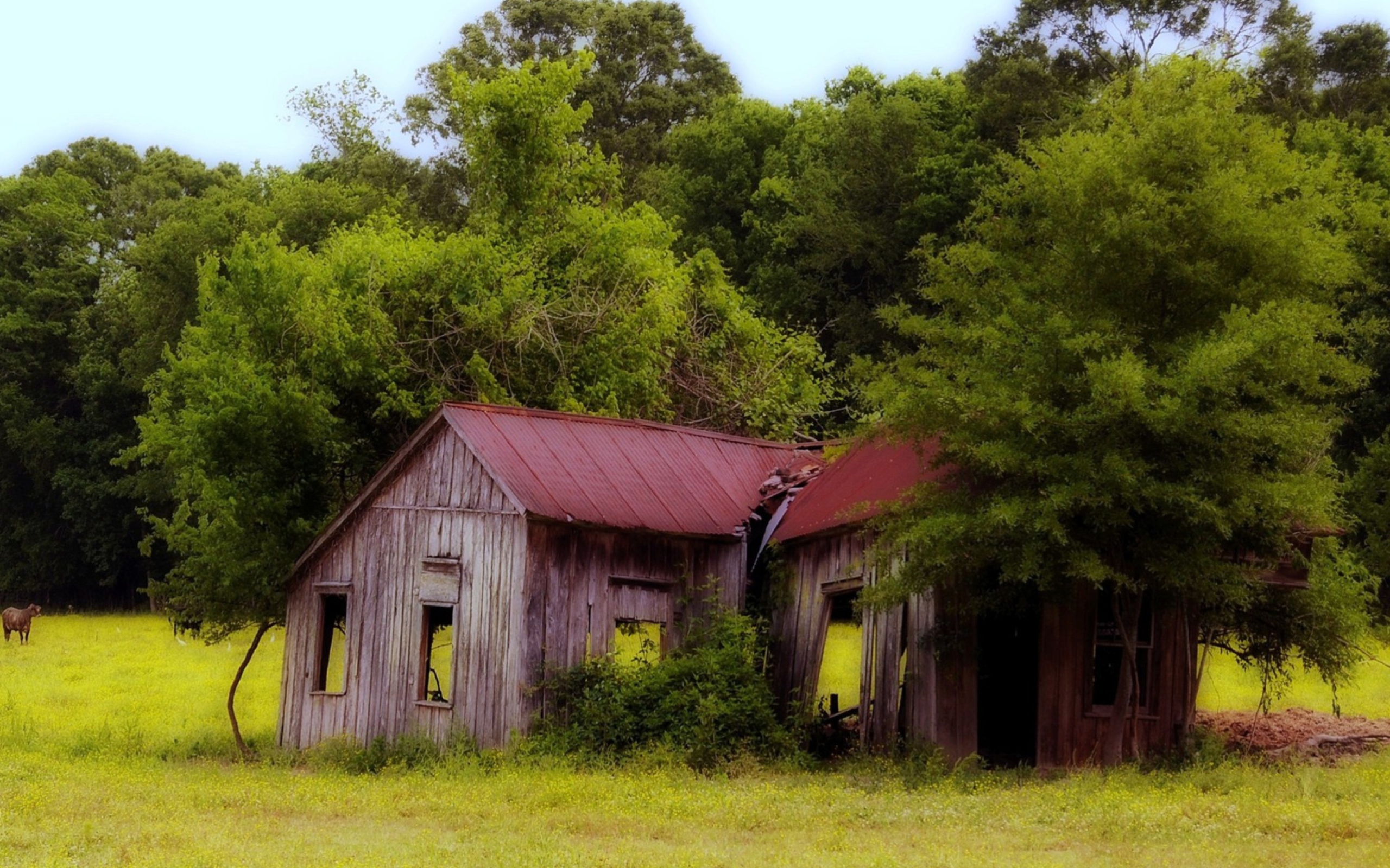 Screenshot №1 pro téma House In The Forest 2560x1600