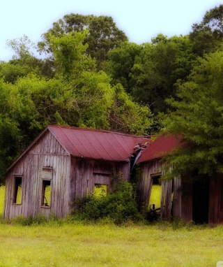 House In The Forest papel de parede para celular para iPhone 6