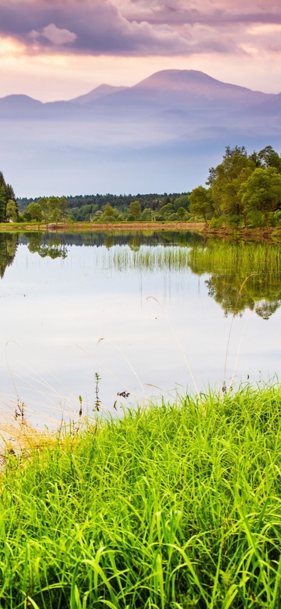 Summer Landscape Background screenshot #1 1170x2532