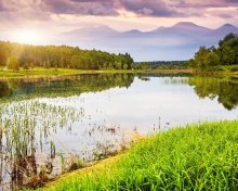 Summer Landscape Background wallpaper 220x176