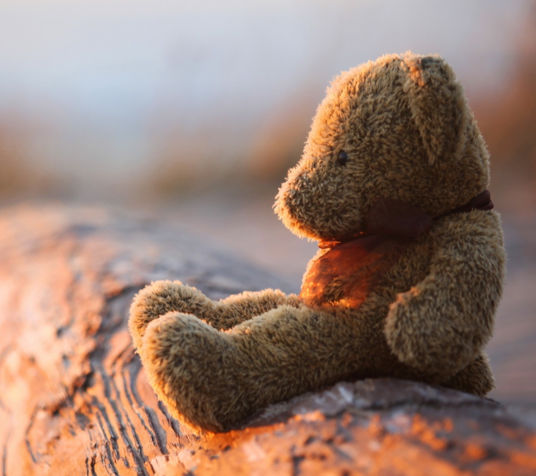 Lonely Teddy Bear wallpaper 1080x960