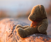 Обои Lonely Teddy Bear 176x144