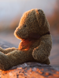 Lonely Teddy Bear screenshot #1 240x320