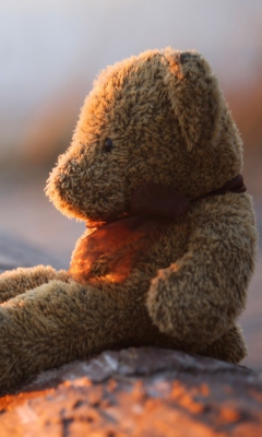 Lonely Teddy Bear wallpaper 240x400