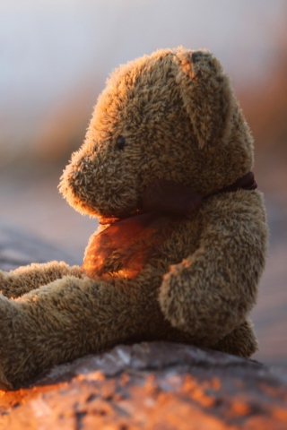 Lonely Teddy Bear wallpaper 320x480