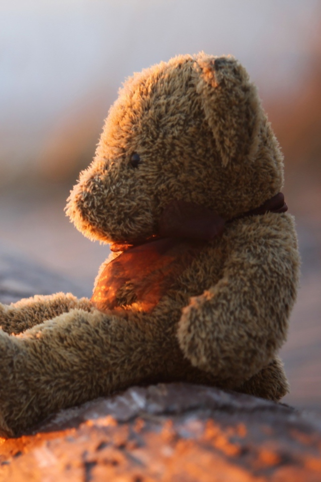 Fondo de pantalla Lonely Teddy Bear 640x960
