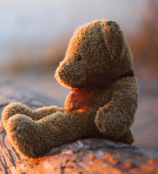 Lonely Teddy Bear Wallpaper for iPad 3