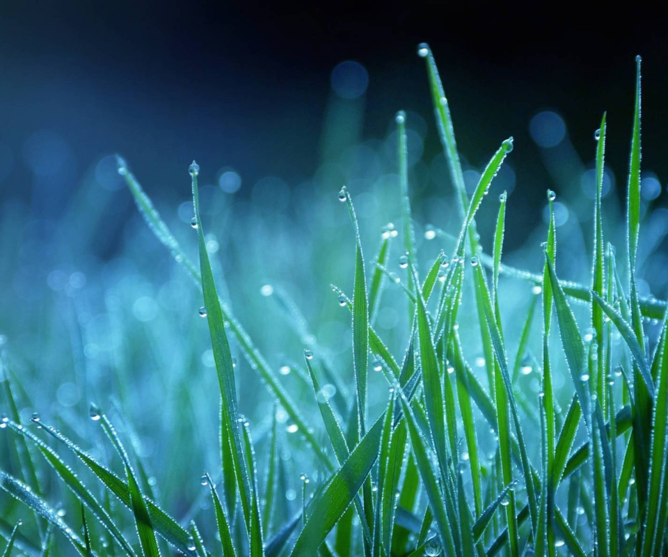 Screenshot №1 pro téma Dew Drops On Grass 960x800