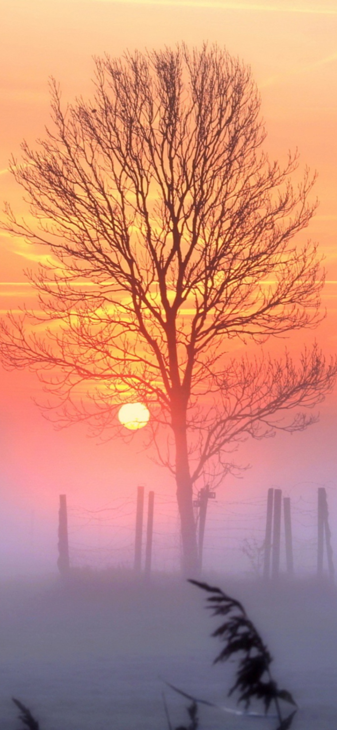 Sunset And Mist screenshot #1 1170x2532