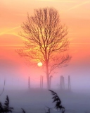 Sunset And Mist screenshot #1 128x160