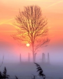 Sunset And Mist wallpaper 128x160