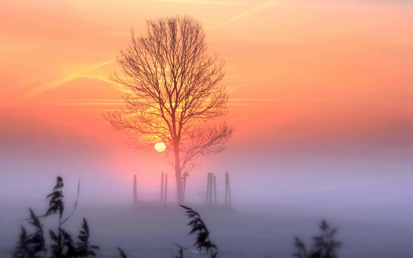 Обои Sunset And Mist 1440x900