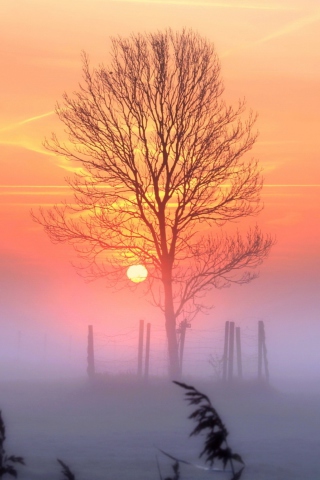Sunset And Mist screenshot #1 320x480