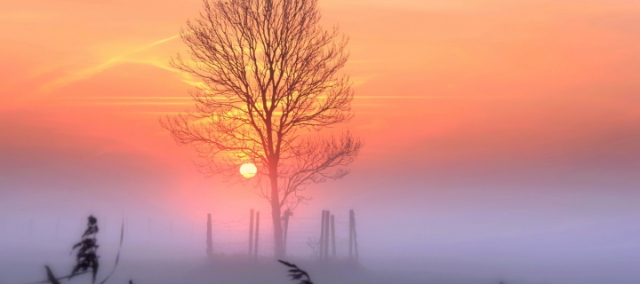 Das Sunset And Mist Wallpaper 720x320