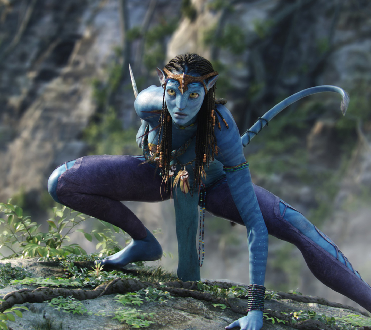 Обои Avatar 1440x1280