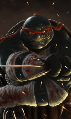 Das Teenage Mutant Ninja Turtles Wallpaper 240x400