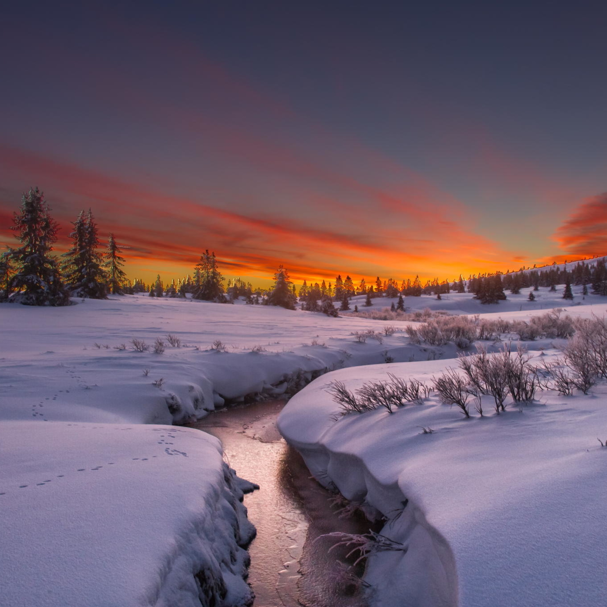 Snow Landscape wallpaper 2048x2048