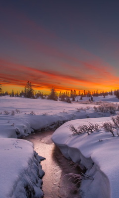 Sfondi Snow Landscape 240x400