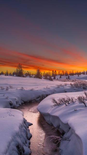 Fondo de pantalla Snow Landscape 360x640