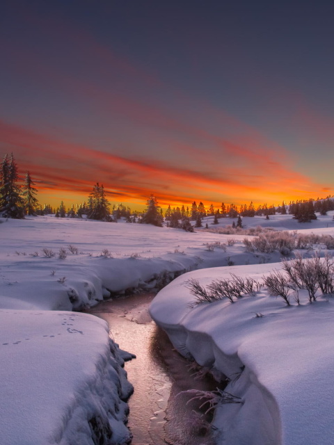 Snow Landscape wallpaper 480x640