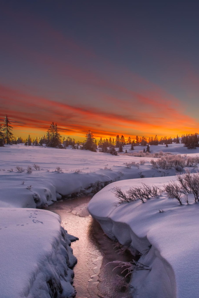 Das Snow Landscape Wallpaper 640x960
