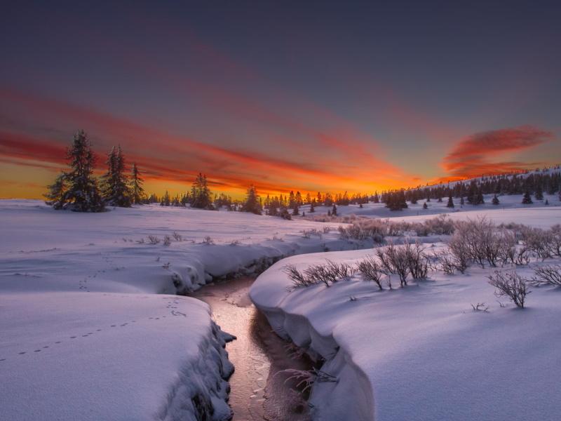 Sfondi Snow Landscape 800x600