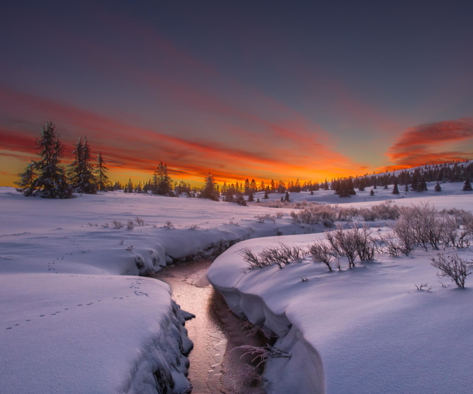 Snow Landscape screenshot #1 960x800