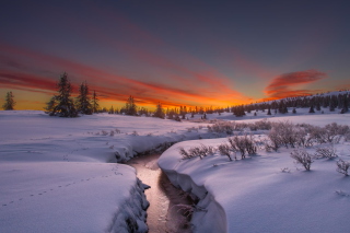 Free Snow Landscape Picture for Nokia XL
