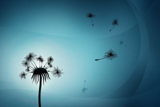 Dandelion Flowers sfondi gratuiti per Samsung Galaxy Note 4