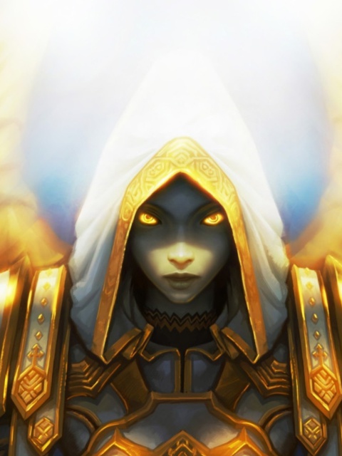 Обои Priest, World of Warcraft 480x640