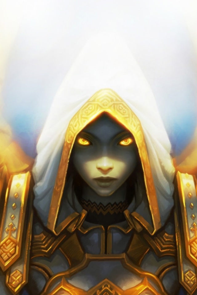 Обои Priest, World of Warcraft 640x960