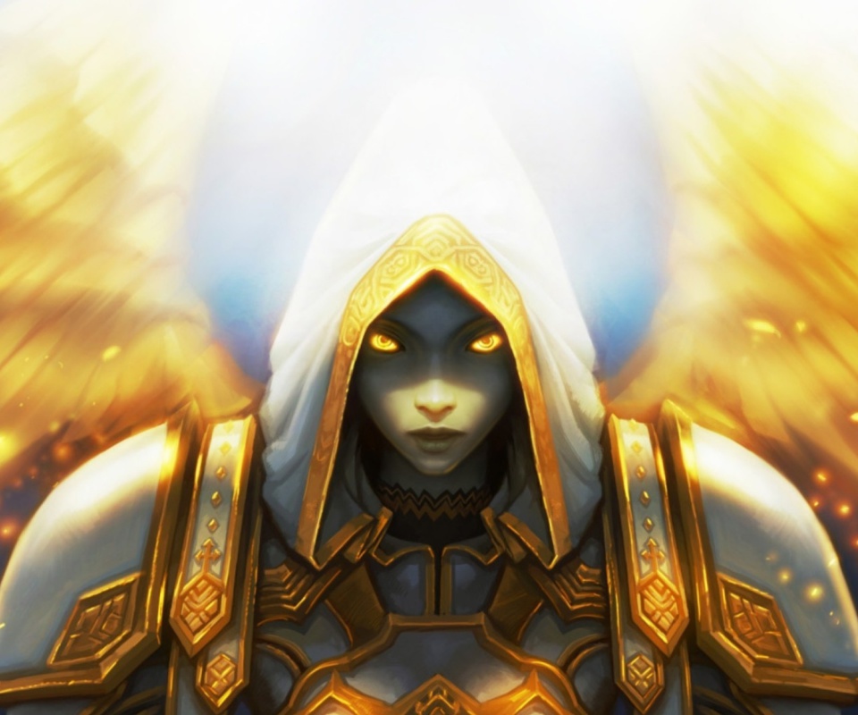 Обои Priest, World of Warcraft 960x800