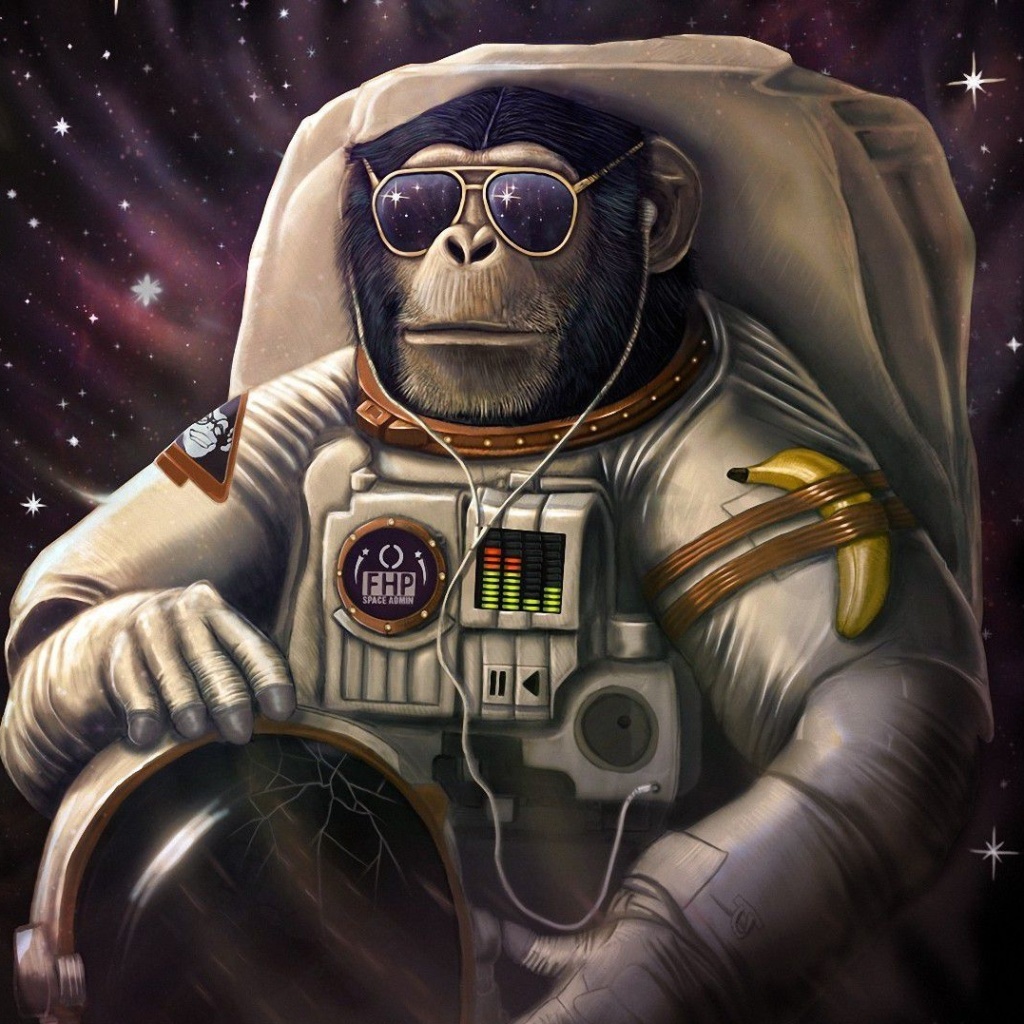 Monkeys and apes in space wallpaper 1024x1024
