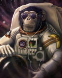 Das Monkeys and apes in space Wallpaper 128x160
