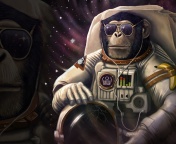 Monkeys and apes in space wallpaper 176x144