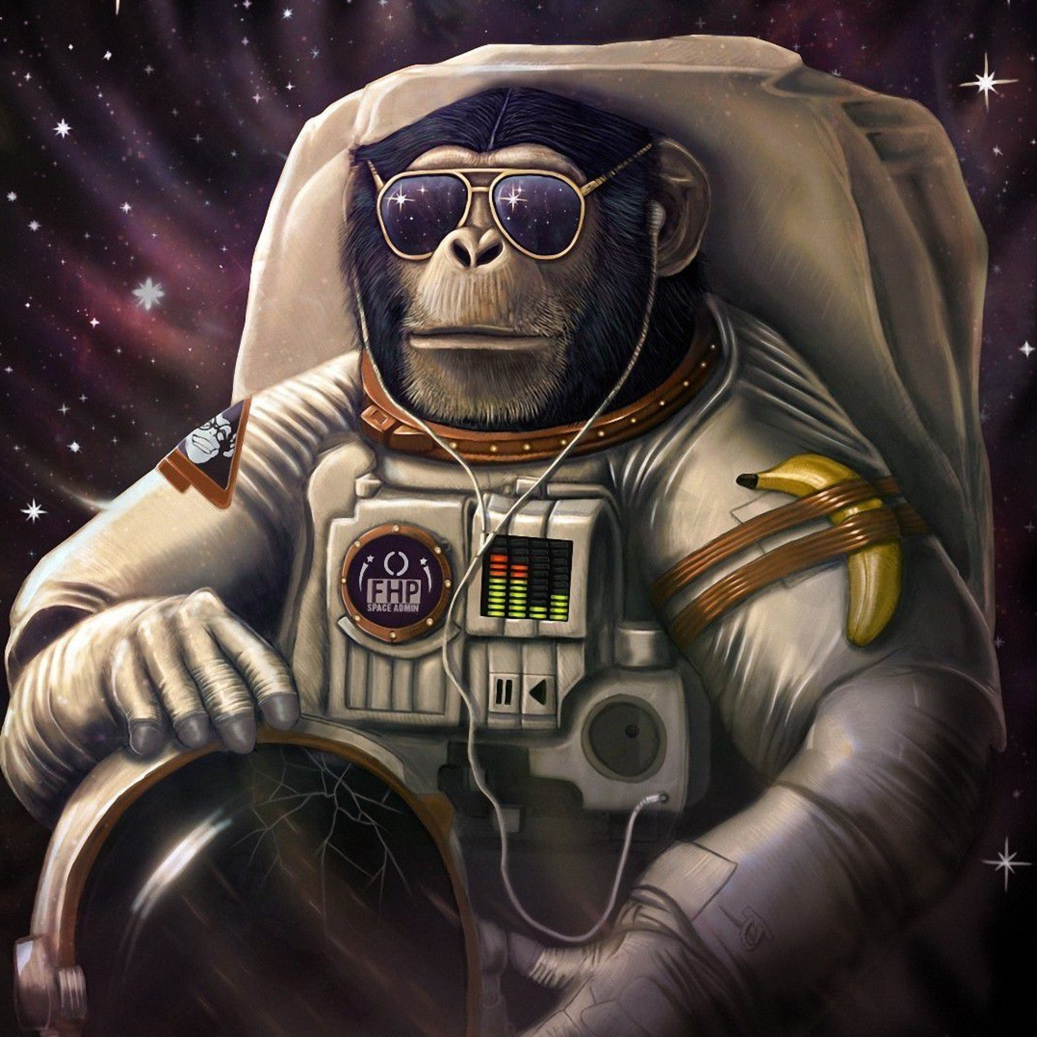 Monkeys and apes in space wallpaper 2048x2048