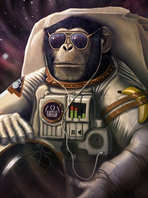 Fondo de pantalla Monkeys and apes in space 480x640