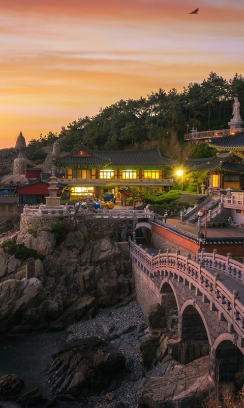 Haedong Yonggungsa, Temple in Busan, South Korea screenshot #1 480x800