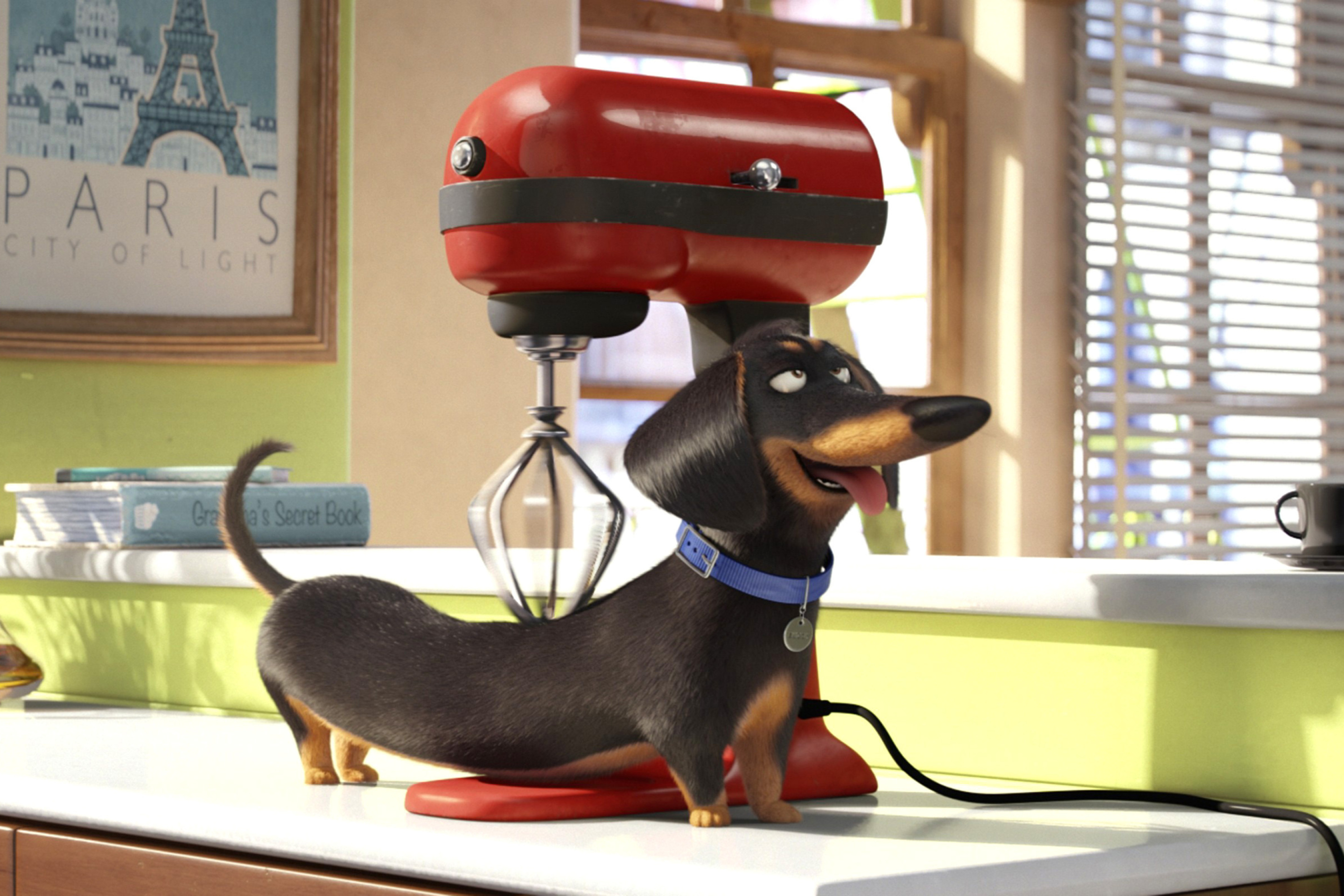 The Secret Life of Pets wallpaper 2880x1920