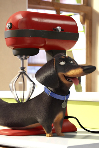 The Secret Life of Pets wallpaper 320x480