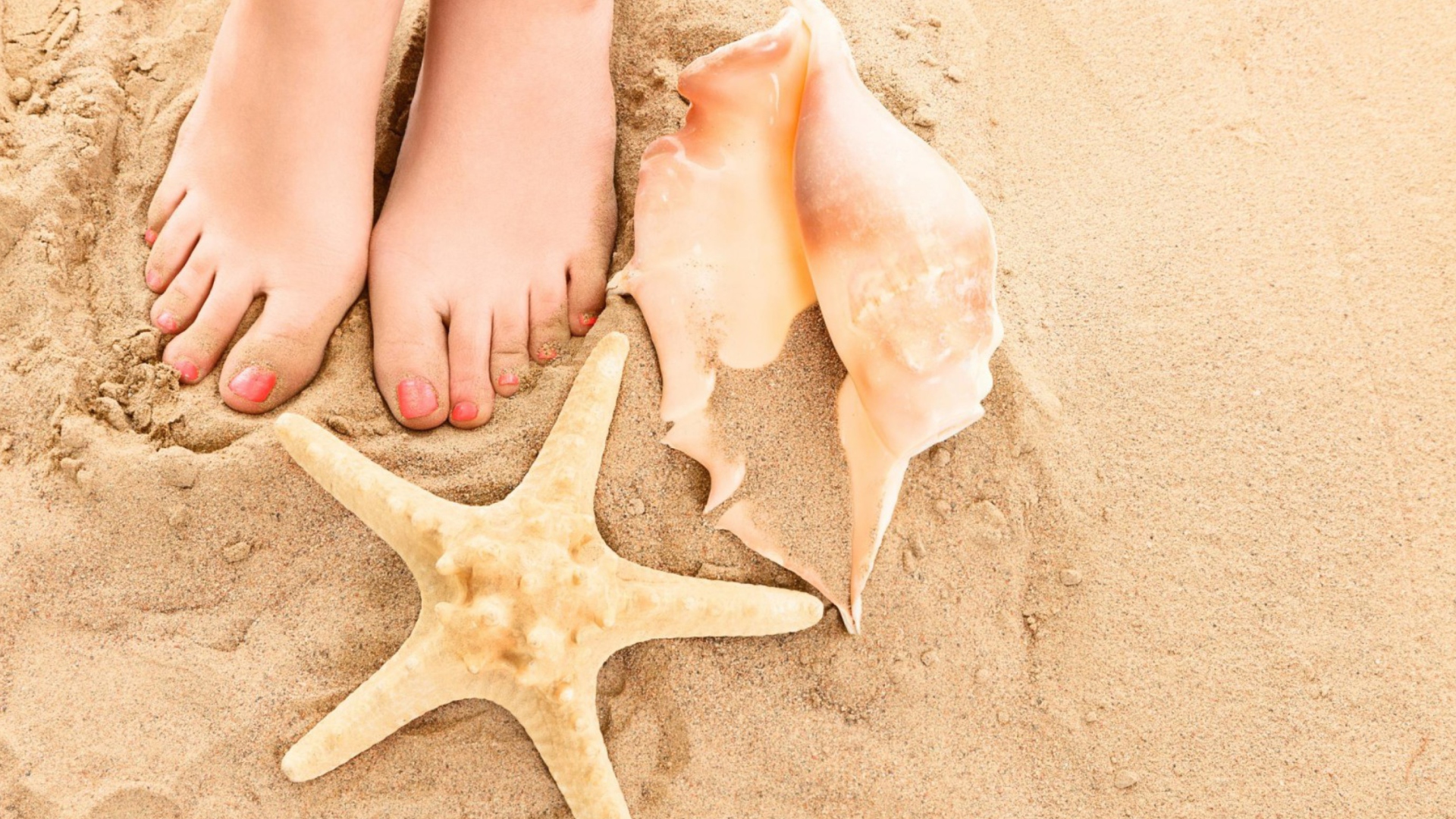 Sfondi Seashell, Seastar And Sandy Feet 1920x1080