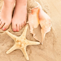 Sfondi Seashell, Seastar And Sandy Feet 208x208