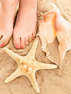 Sfondi Seashell, Seastar And Sandy Feet 240x320